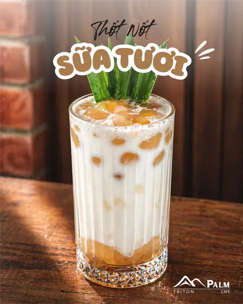 Thốt Nốt Sữa Tươi — Anpalm Signature